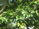 IMG_1186.jpg