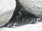 IMG_1191.jpg