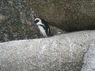 IMG_1192.jpg
