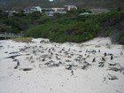 IMG_1193.jpg