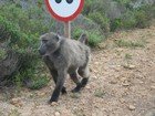 IMG_1202.jpg