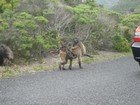 IMG_1208.jpg
