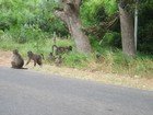 IMG_1209.jpg