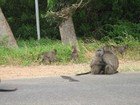 IMG_1210.jpg