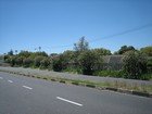 IMG_1226.jpg