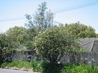 IMG_1227.jpg