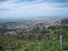 IMG_0489.jpg