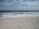 IMG_0528.jpg